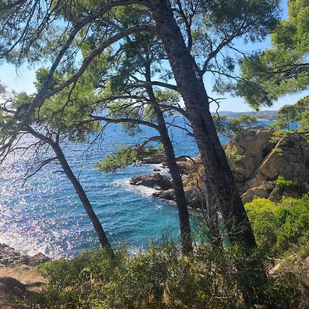 Evasion Nature A Cap Esterel Jardin, Mer & Golf Tout Confort Saint-Raphaël Exteriér fotografie
