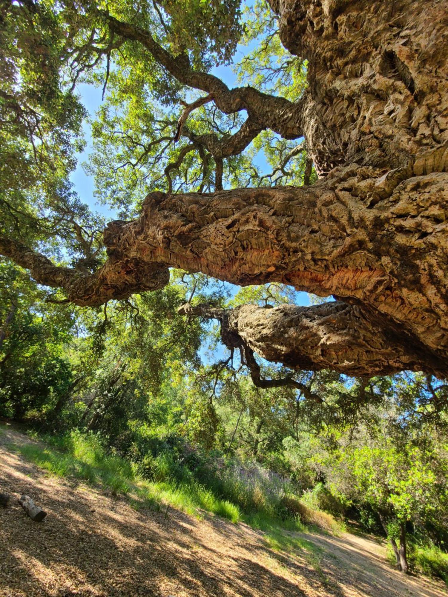 Evasion Nature A Cap Esterel Jardin, Mer & Golf Tout Confort Saint-Raphaël Exteriér fotografie