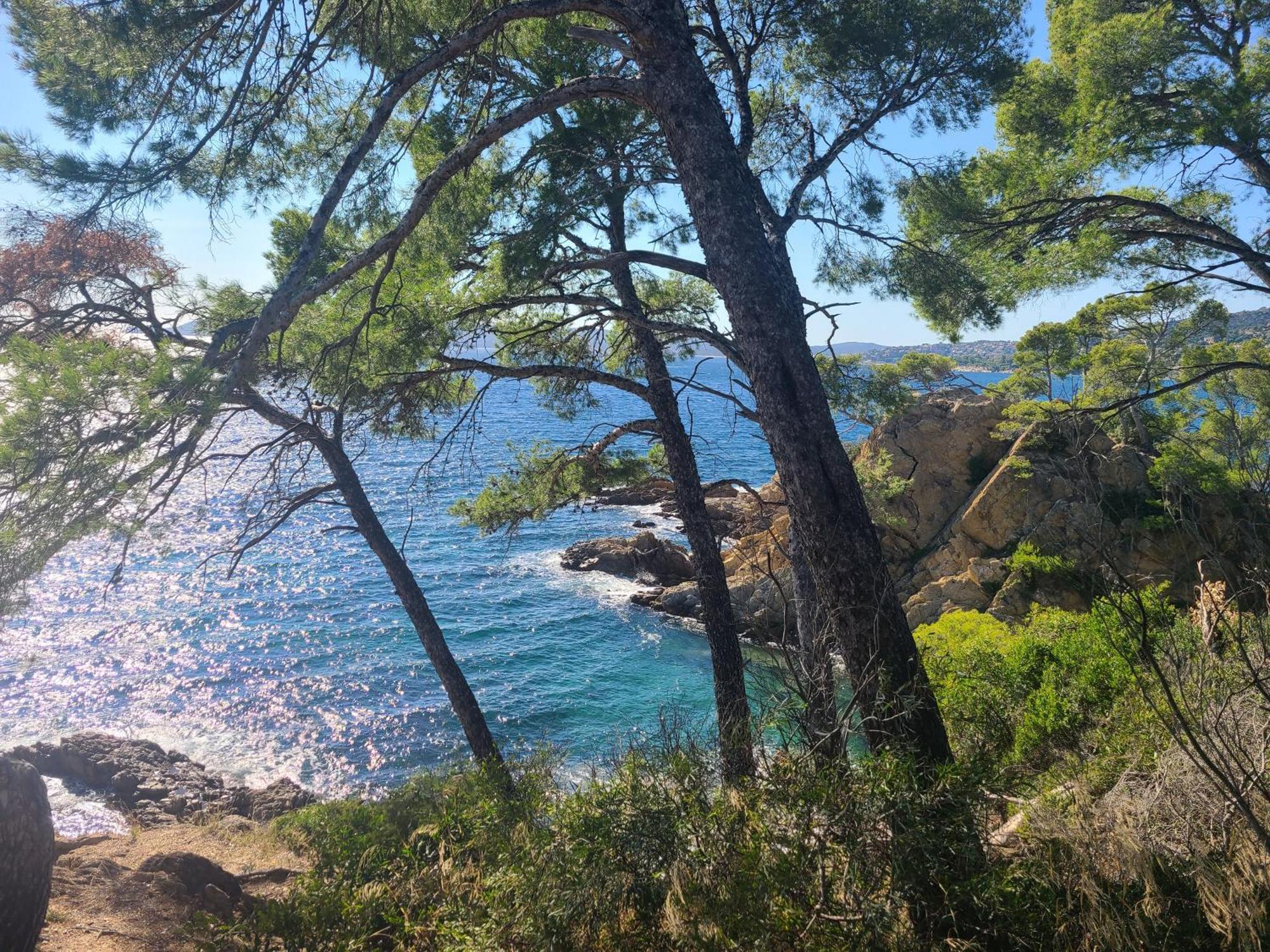 Evasion Nature A Cap Esterel Jardin, Mer & Golf Tout Confort Saint-Raphaël Exteriér fotografie